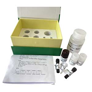 維生素D3（VD3）含量測試盒主圖